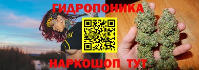 твердый Новозыбков