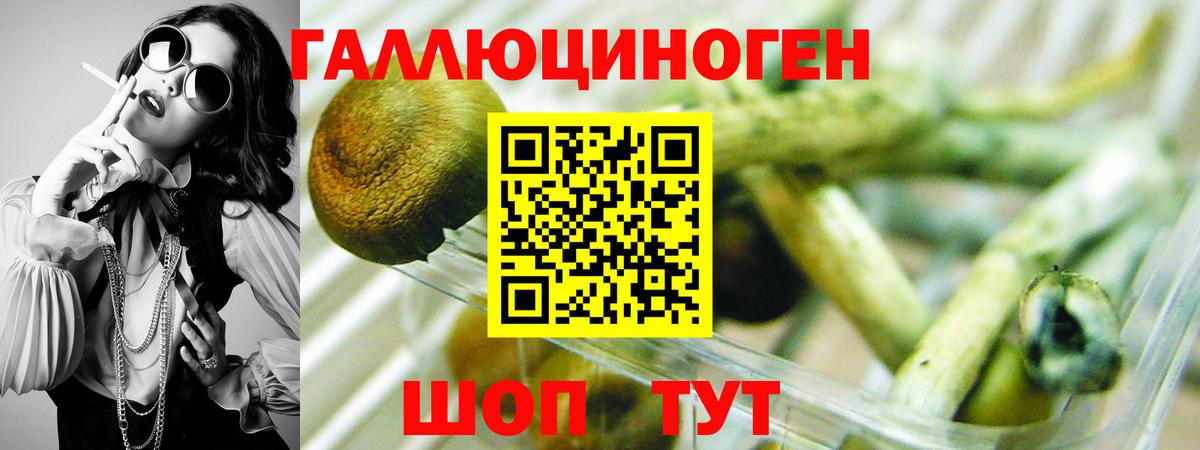 Сердобск  Псилоцибиновые грибы GOLDEN TEACHER  Вход с VPN  Псилоцибиновые грибы прущие грибы 